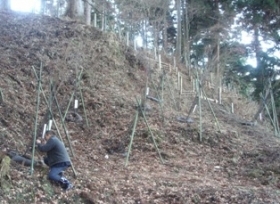 「一隅を照らす木」を比叡山に植樹
