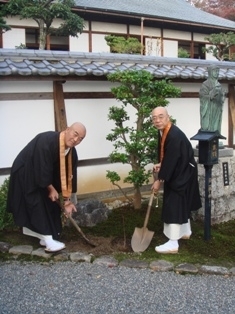 長山慈信滋賀教区本部長が、天台宗務庁で菩提樹を植樹。