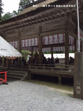 しょうぐうさんブログを更新しました。