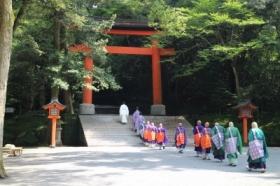 しょうぐうさんブログを更新しました。