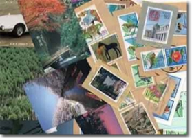 しょうぐうさんブログを更新しました。