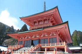 しょうぐうさんブログを更新しました。