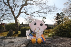 しょうぐうさんブログを更新しました。