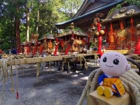 しょうぐうさんブログを更新しました。