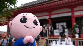 しょうぐうさんブログを更新しました。