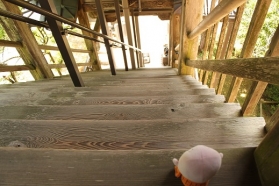 しょうぐうさんブログを更新しました。