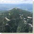 しょうぐうさんブログを更新しました。