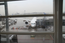 しょうぐうさんブログを更新しました。