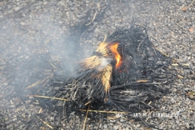 しょうぐうさんブログを更新しました。