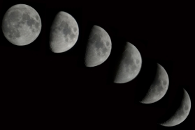 しょうぐうさんブログを更新しました。