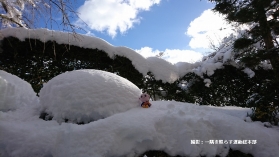 しょうぐうさんブログを更新しました。