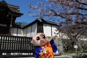 しょうぐうさんブログを更新しました。