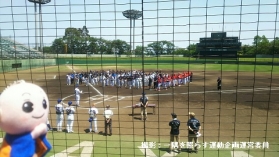 しょうぐうさんブログを更新しました！