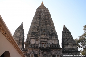 しょうぐうさんブログを更新しました。