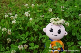 しょうぐうさんブログを更新しました！