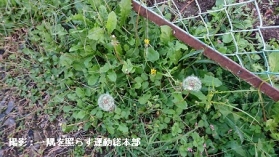 しょうぐうさんブログを更新しました！