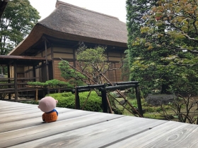 しょうぐうさんブログを更新しました！