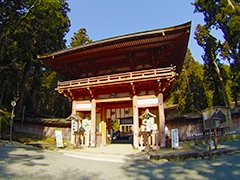 しょうぐうさんブログを更新しました。