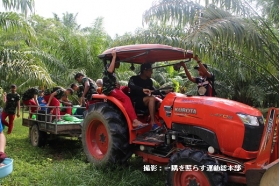 しょうぐうさんブログを更新しました！